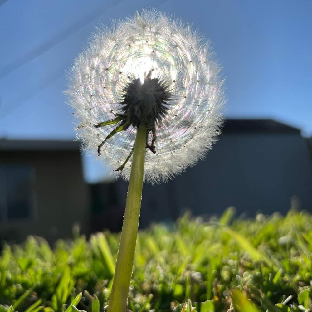 💋thank you for viewing my shop!!